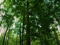 素人, お尻, フェラチオ, 顔射, 自然山雀, アウトドア, 赤毛, オッパイの