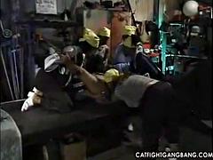 Negro, Pelea de gatas, Ébano, Grupo, Lesbiana, Lamidas