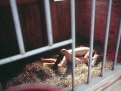 Amerikanisch, Gruppe, Hardcore, Orgie, Muschi, Jungendliche (18+), Vintage, Nass