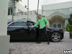 Amateur, Gros seins, Sucer une bite, Brunette brune, Plantureuse, Éjaculation interne, Hard, Rasée