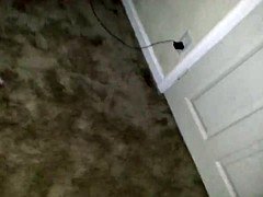 Éjaculation interne, Masturbation, Chatte