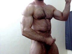 ideal muscley and fur covered