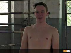 Grote lul, Homo