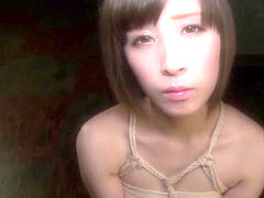 Caribbeancom, big boobs, adult toys