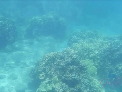 Leie, Flashen, Freundin, Handjob, Orgasmus, Im freien, Öffentlich, Spanner