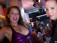 Lieveling, Grote mammen, Gek, Erotisch, Handbeurt, Orgie, Openbaar, Tieten likken