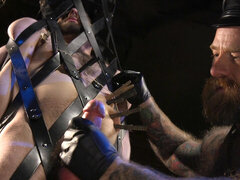 お尻, ビッチ, 惨い, ゲイ