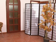 Lieveling, Gek, Erotisch, Fetisj, Handbeurt, Man man vrouw, Pissen, Trio