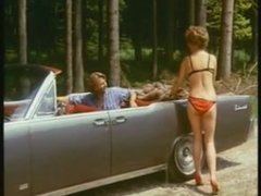 Blasen, Braunhaarige, Klassisch, Gruppe, Behaart, Orgie, Pornostars, Vintage