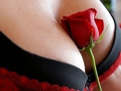 お尻, デカパイ, フェラチオ, バック, キス, 下着, オナニー, ストッキング
