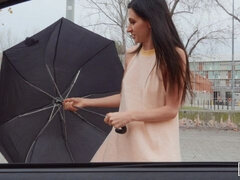 Arsch, Braunhaarige, Hundestellung, Fingern, Handjob, Pov, Muschi, Jungendliche (18+)