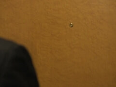 Толстушки, Минет, Грудастые, Пухленькие, Секс без цензуры, Японки, Милф, Сиськи