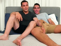 Gay, Hd