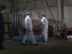 Азиатки, Минет, Хд, Японки, Шлюха