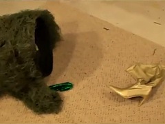 Tussi, Blondine, Fesselspiele, Braunhaarige, Fetisch, Latina, Rotschopf, Vintage