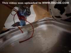 In den arsch, Sadomasochismus, Grosser arsch, Fesselspiele, Hd, Nippel, Gefesselt, Spielzeuge