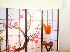 ソフトコア, 一人, ウェブカメラ