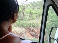 Africain, Grosse bite, Noire, Noir ébène, Hard, Hd, Interracial, De plein air