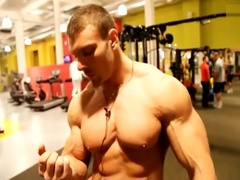 muscle bull