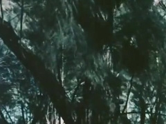 Vintage: Dust Unto Dust