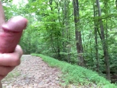 On the trail with the beasts