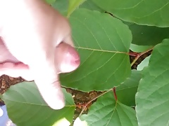 Outdoor jerk off