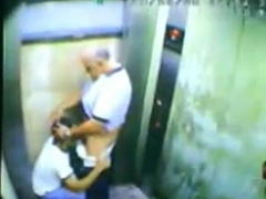 Daddy Bear and his Young Cub Caught on Camera