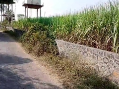 Indian Threesome Gay - A Unique Story Of A Boy And An Unknown Man Who Took His Bike To Go To College - Car Sex - Hindi Voice