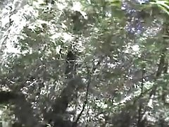 fat daddy sucks cock
