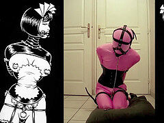 rosy Panther's Avdentures