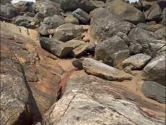 DiegoM Shorts Compilation 4