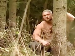 The woods