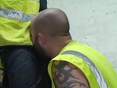 Tommo Hawk WORKMEN BEARS FUCKING
