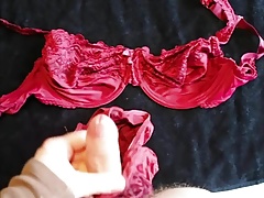 load of cum on red bra & panty