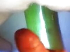 tribut video rolam
