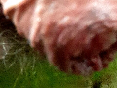 Masturbation outdoors