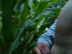 Outsider
