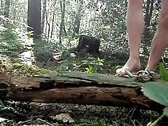 forest piss