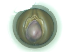 Encore by cum cam man