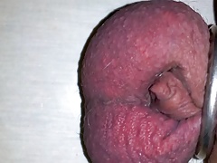 my tortured cock ma queue torturee