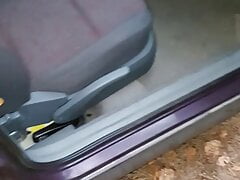 The big piss in the passenger seat
