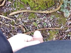 2015: Piss and cum in the woods