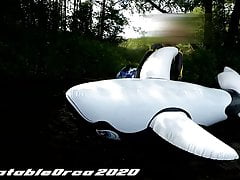 Orca Bay