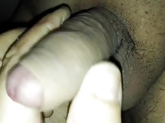 Pisello