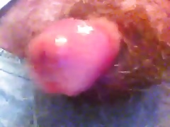 Wet Wank
