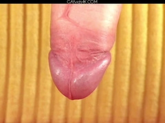 Andreas Mouskouri Photosession Video