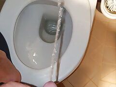 Master Ramon pisses all over the toilet in hot satin shorts, nasty and mean!