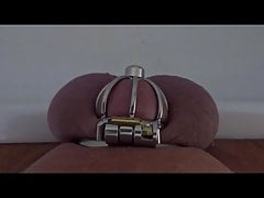 Piss with Penis Cage