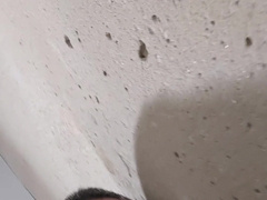 2nd Molten Jizz flow