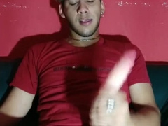 Barbero Argentino Lechea un Faux-Cock